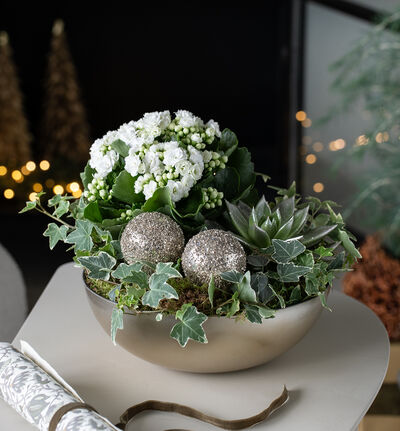 Julegruppe allergivennlig hvit Julegruppe allergivennlig hvit